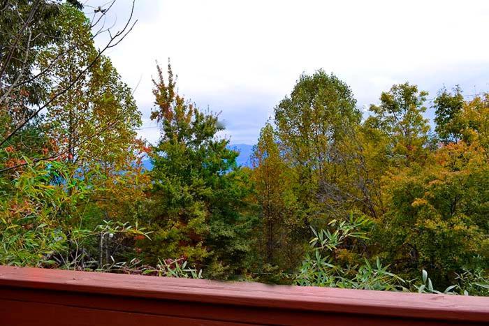 Lover'S Loft Gatlinburg Dış mekan fotoğraf